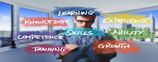 expansive lead network, optimistic, connecting to diverse businesses, photorealistic, within a digital network map overlay, highly detailed, flowing data streams, 12K resolution, gradient red and purple, soft glow, shot with a fish-eye lens.